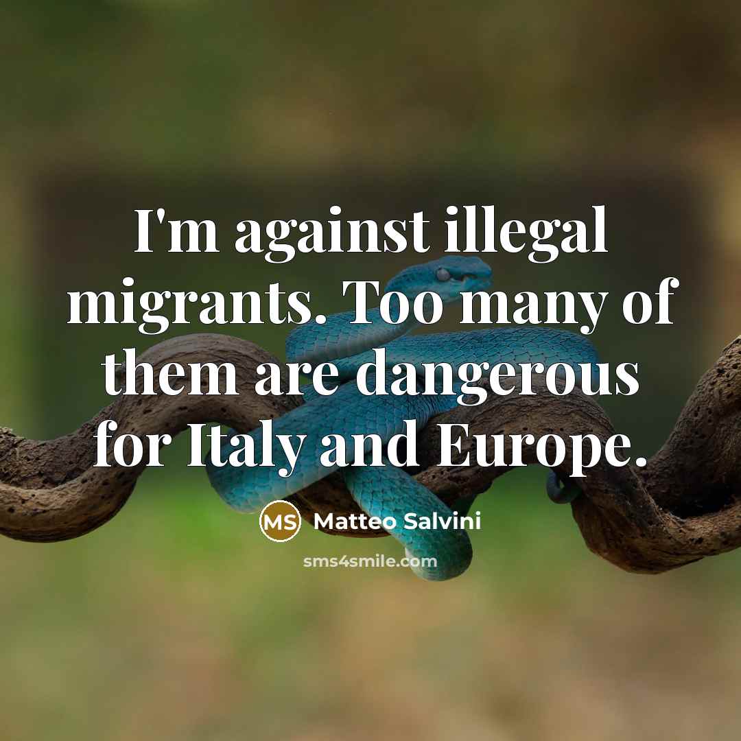 “I'm against illegal migrants. Too many of them are dangerous…” quote by Matteo Salvini