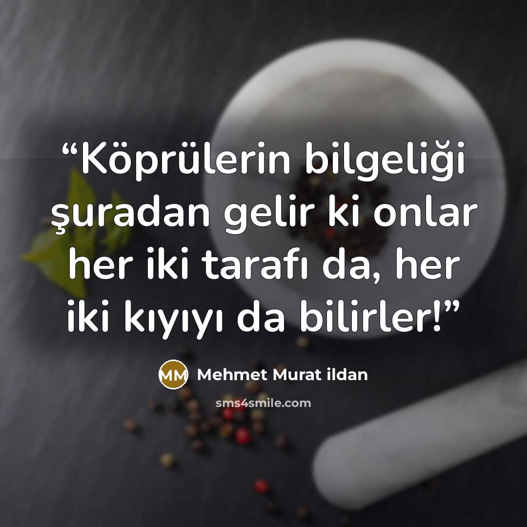 “Köprülerin bilgeliği şuradan gelir ki onlar her iki tarafı da, her iki kıyıyı da bilirler!” quote by Mehmet Murat ildan