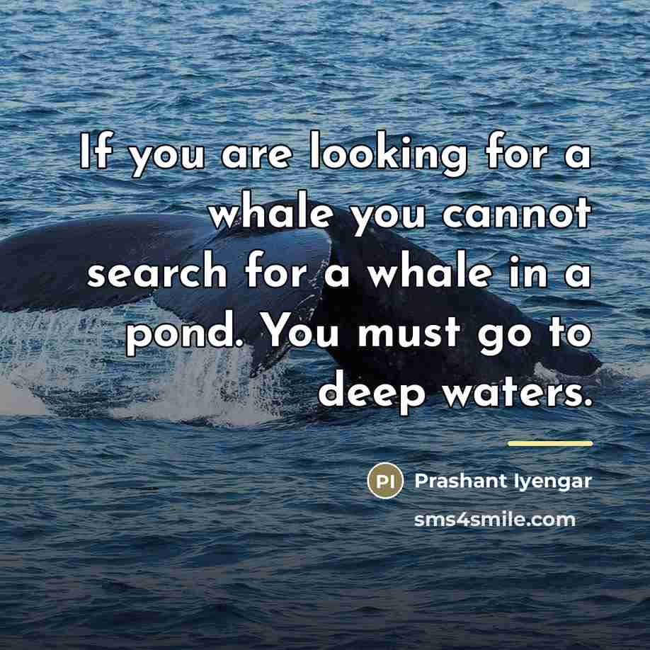 “If you are looking for a whale you cannot search…” quote by Prashant Iyengar