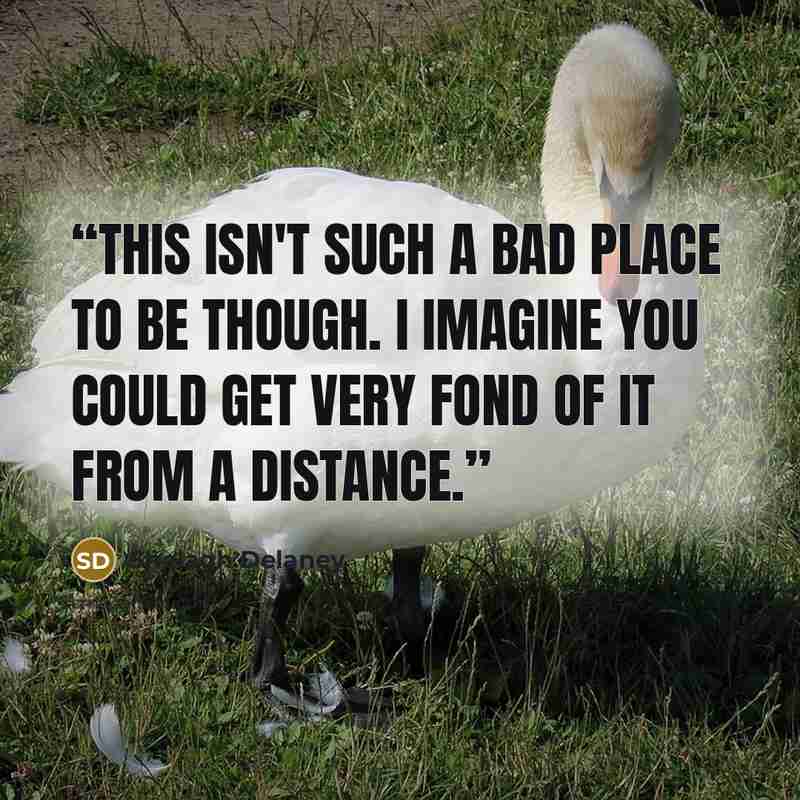 “This isn't such a bad place to be though. I imagine you could get very fond of it from a distance.” quote by Shelagh Delaney