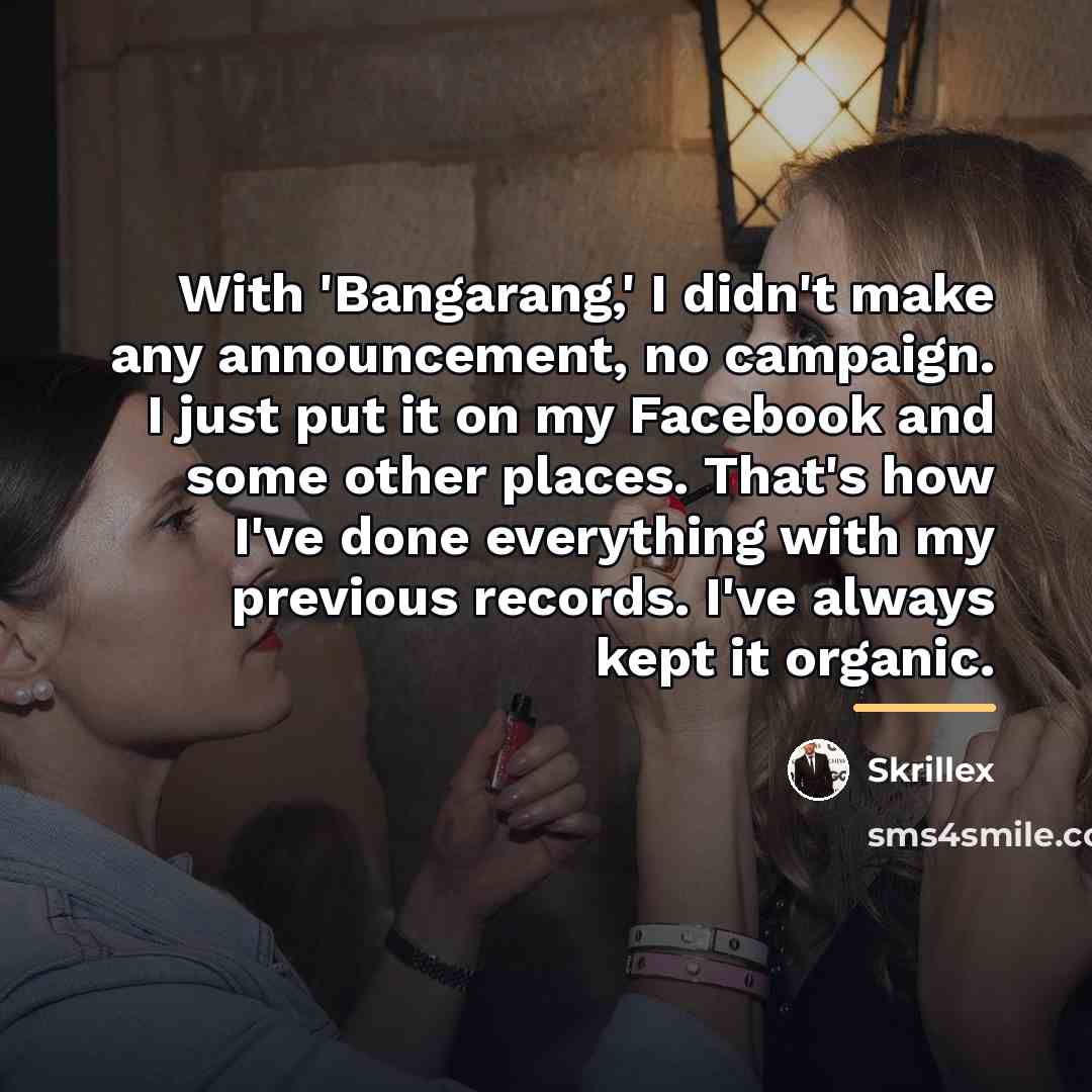 “With 'Bangarang,' I didn't make any announcement, no campaign. I…” quote by Skrillex