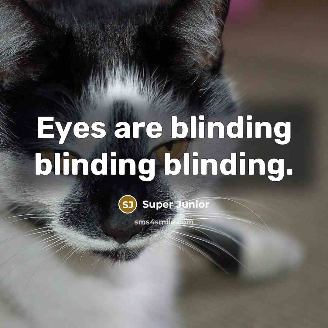 “Eyes are blinding blinding blinding.” quote by Super Junior