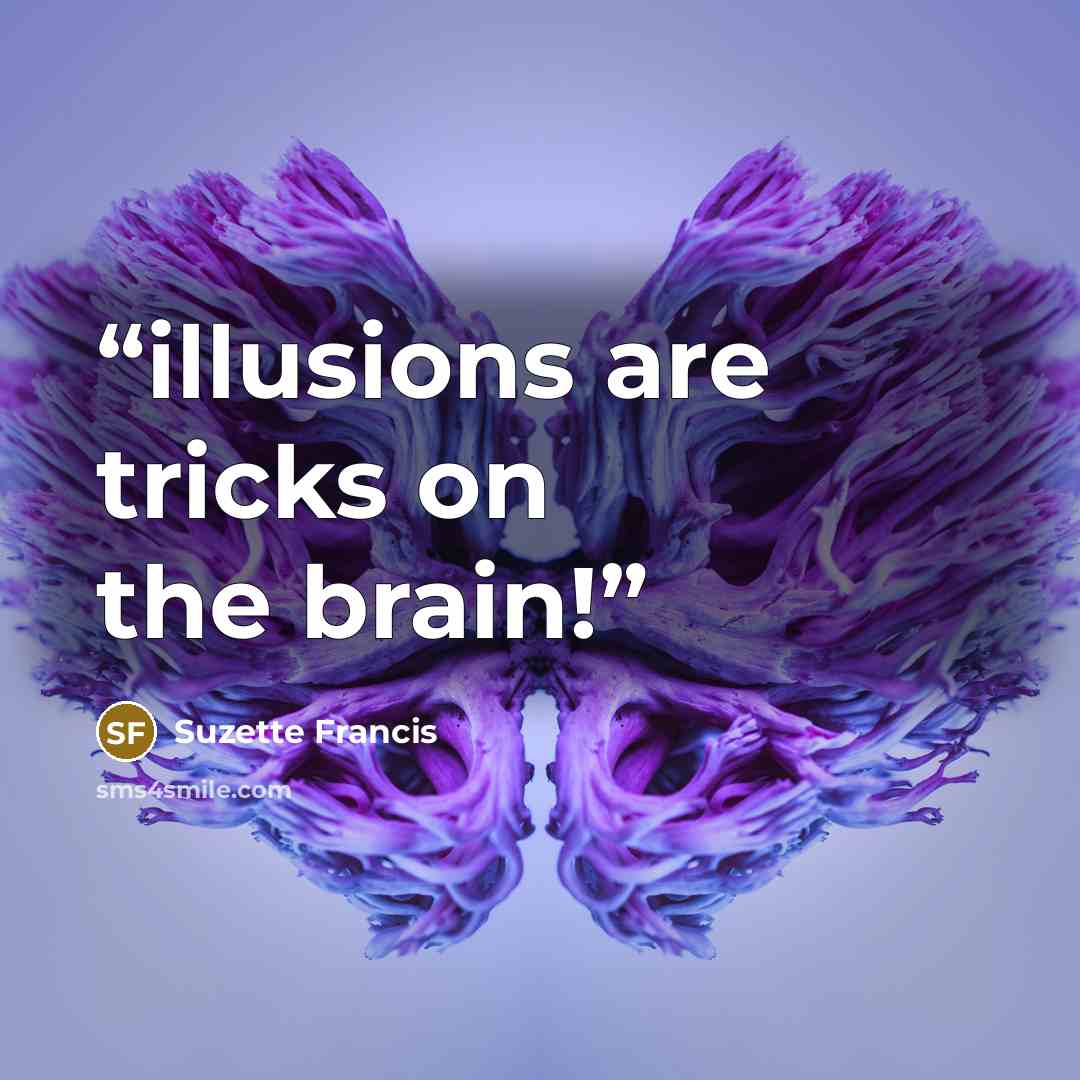 “illusions are tricks on the brain!” quote by Suzette Francis
