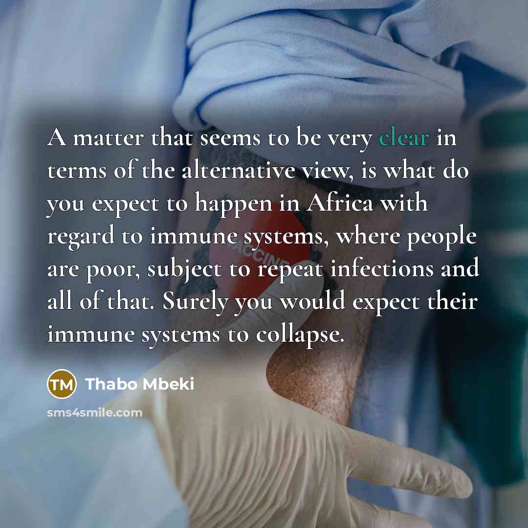 “A matter that seems to be very clear in terms…” quote by Thabo Mbeki