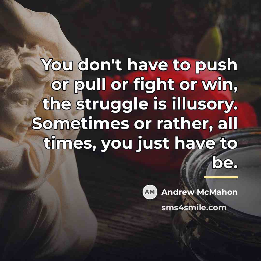 “You don't have to push or pull or fight or…” quote by Andrew McMahon