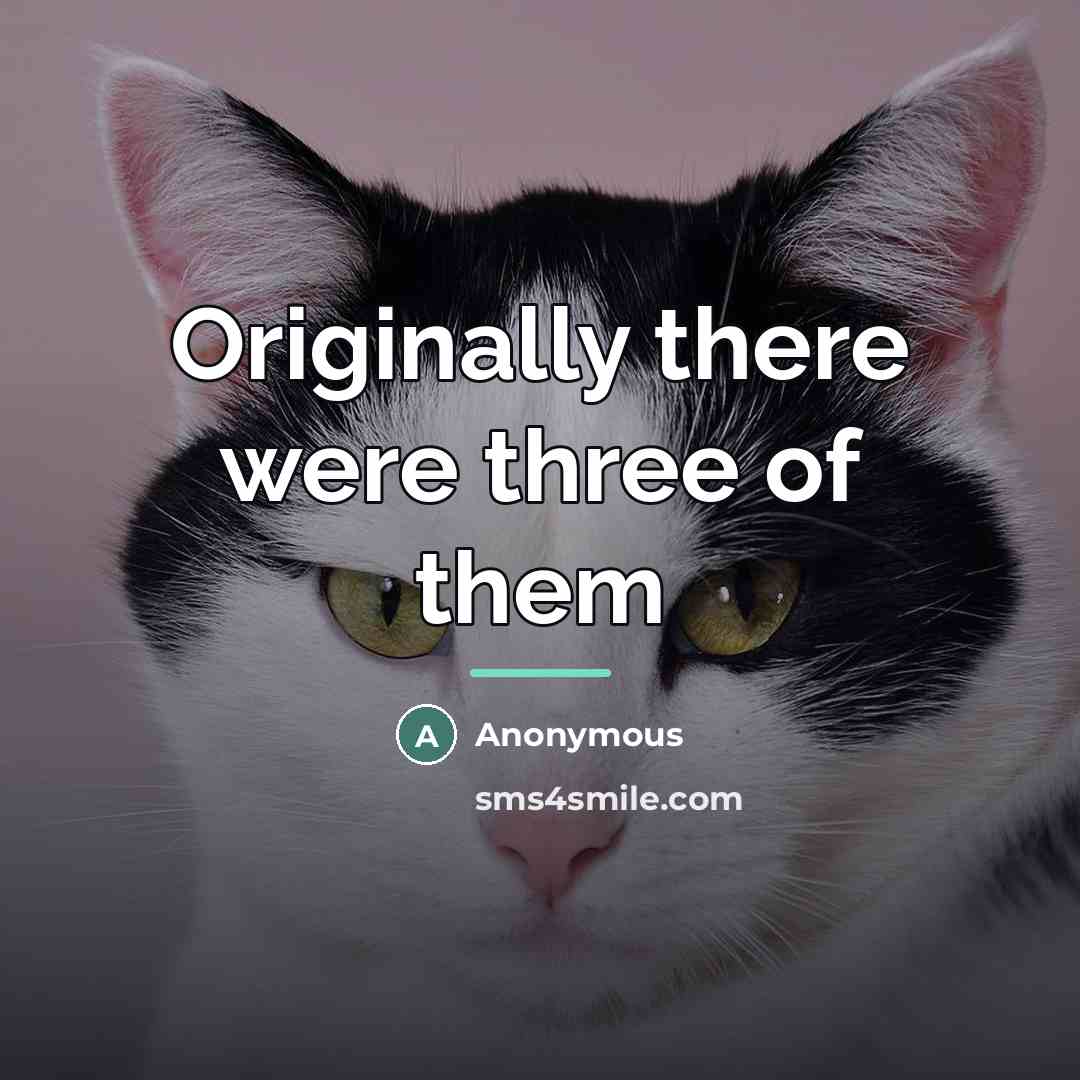 “Originally there were three of them…” quote by Anonymous