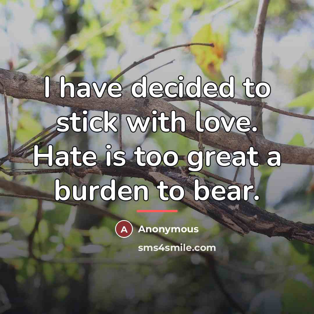 “I have decided to stick with love. Hate is too…” quote by Anonymous