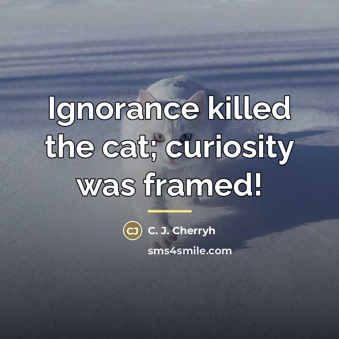 “Ignorance killed the cat; curiosity was framed!…” quote by C. J. Cherryh