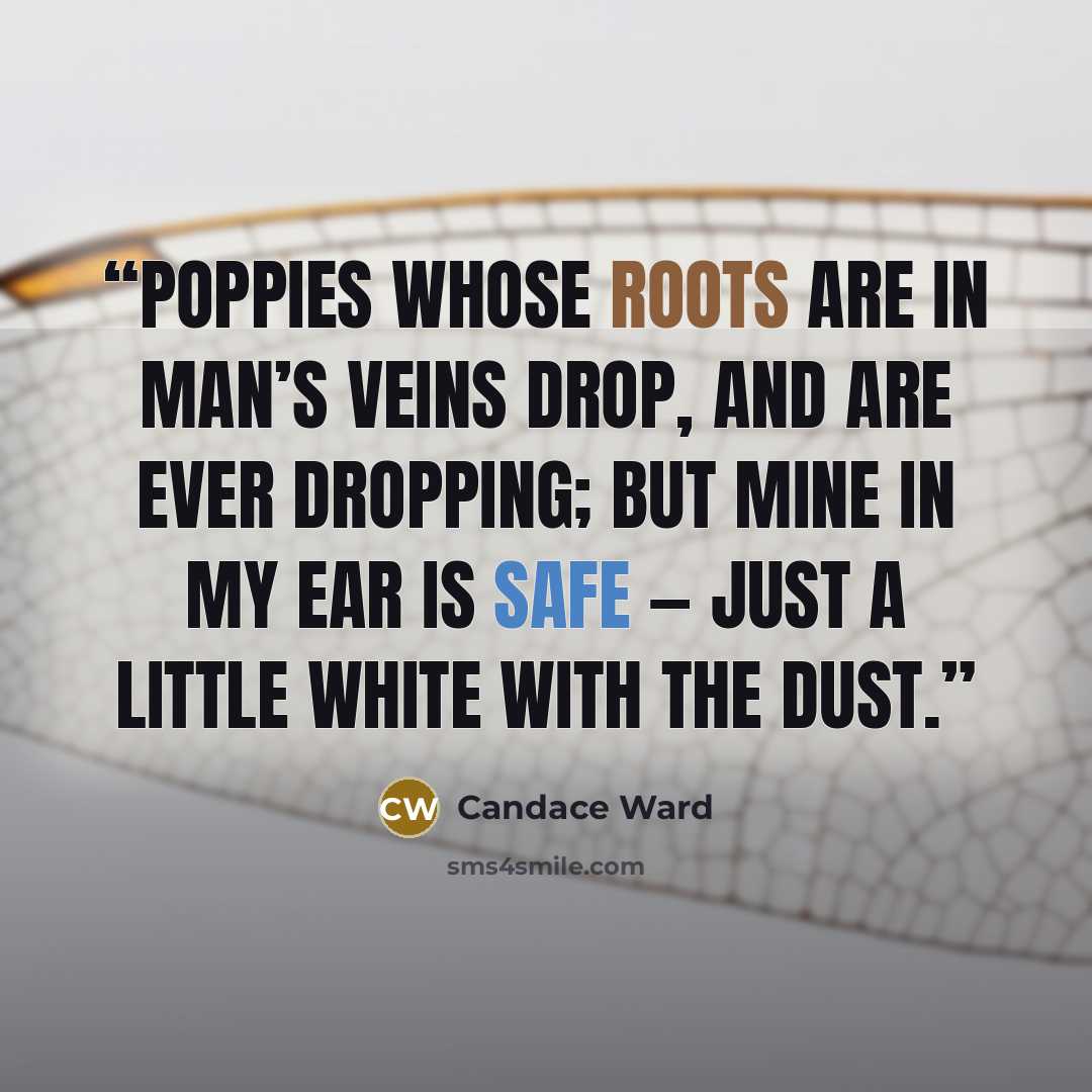“Poppies whose roots are in man’s veins Drop, and are ever dropping; But mine in my ear is safe — Just a little white with the dust.” quote by Candace Ward