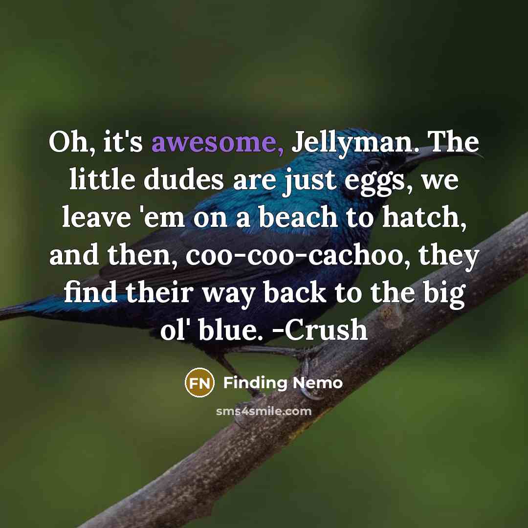 “Oh, it's awesome, Jellyman. The little dudes are just eggs,…” quote by Finding Nemo