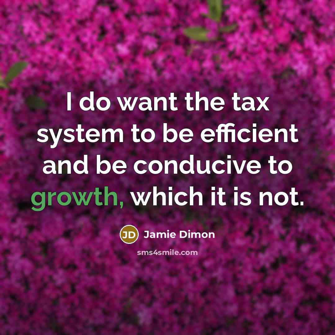 “I do want the tax system to be efficient and…” quote by Jamie Dimon