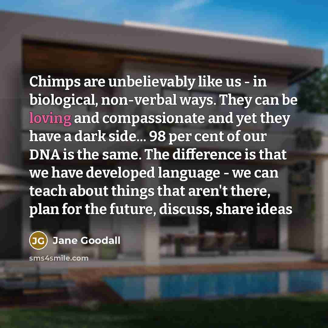 “Chimps are unbelievably like us - in biological, non-verbal ways.…” quote by Jane Goodall