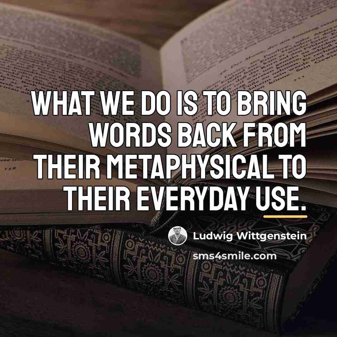 “What we do is to bring words back from their…” quote by Ludwig Wittgenstein