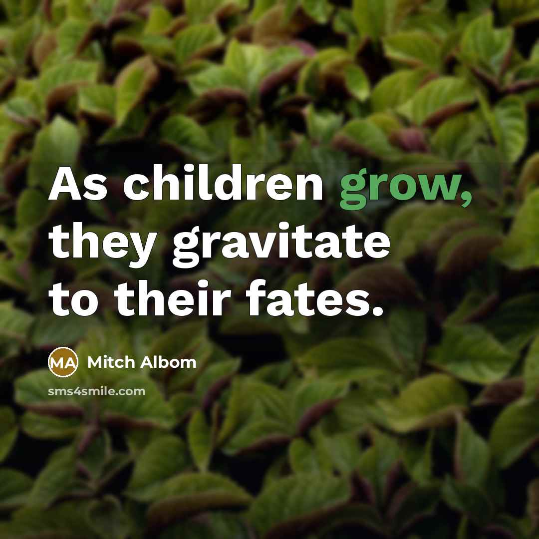 “As children grow, they gravitate to their fates.…” quote by Mitch Albom