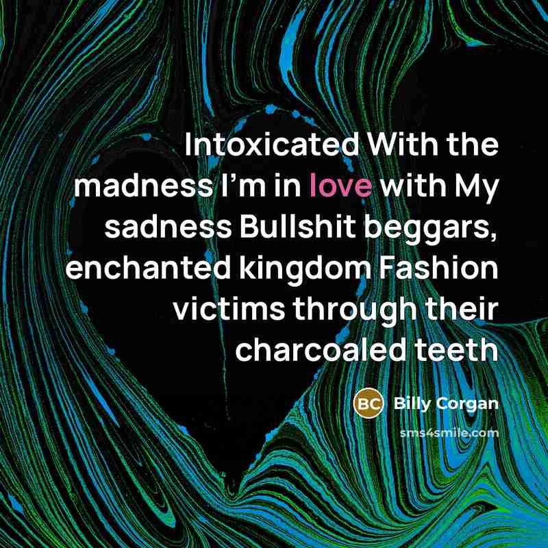 “Intoxicated With the madness I'm in love with My sadness…” quote by Billy Corgan