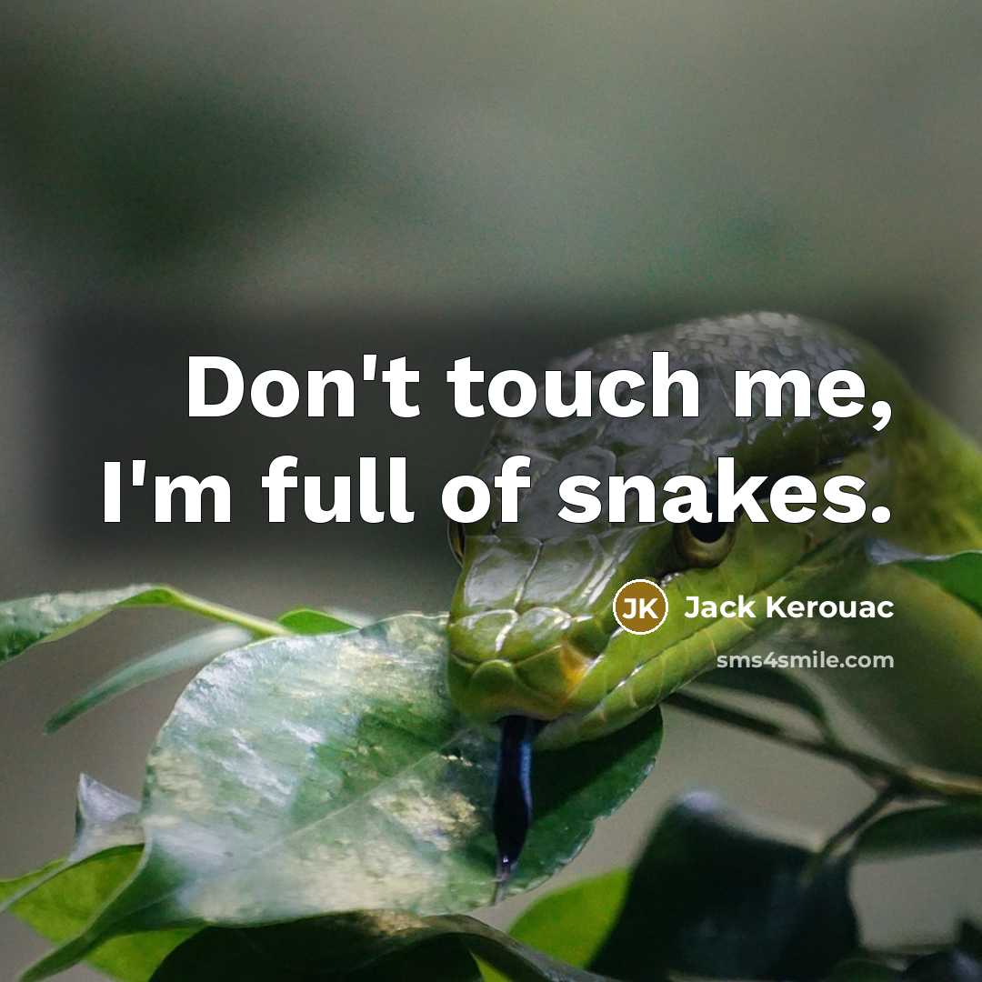 “Don't touch me, I'm full of snakes.…” quote by Jack Kerouac