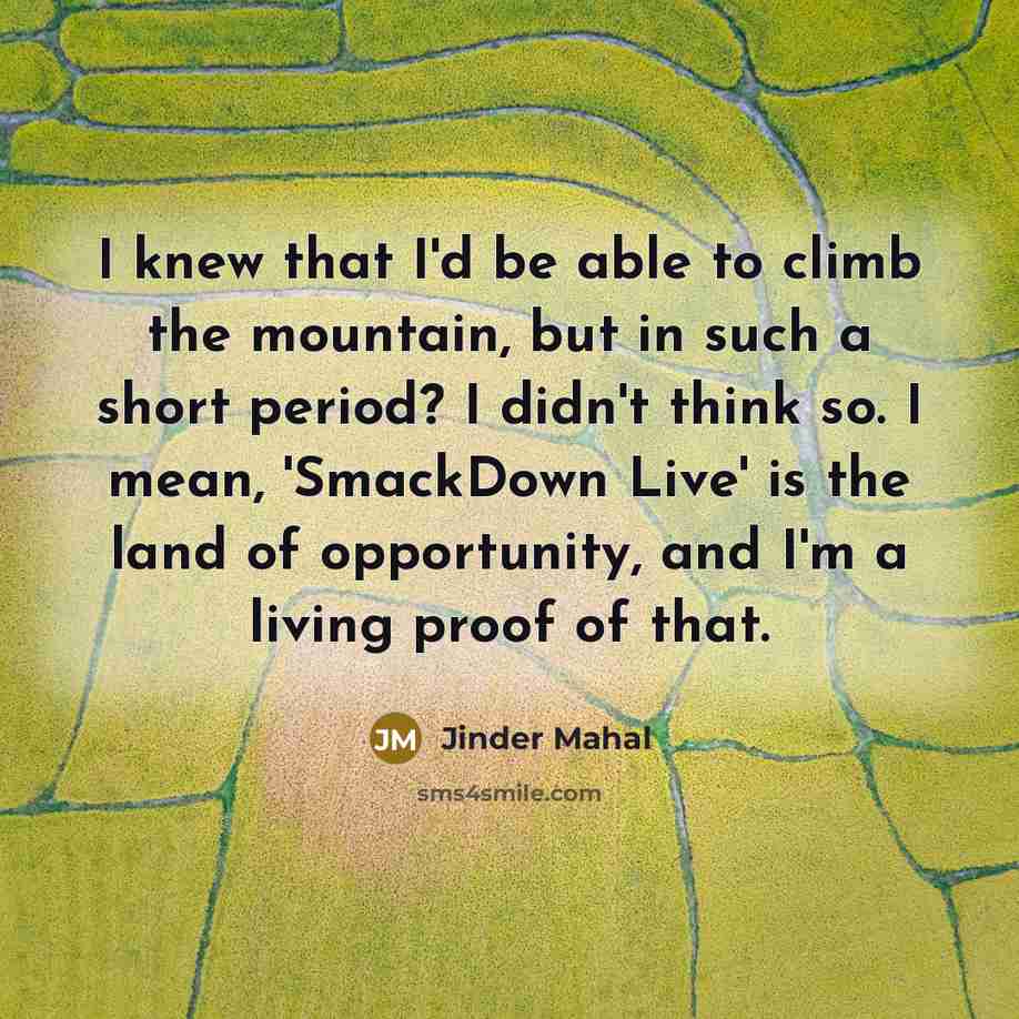 “I knew that I'd be able to climb the mountain,…” quote by Jinder Mahal