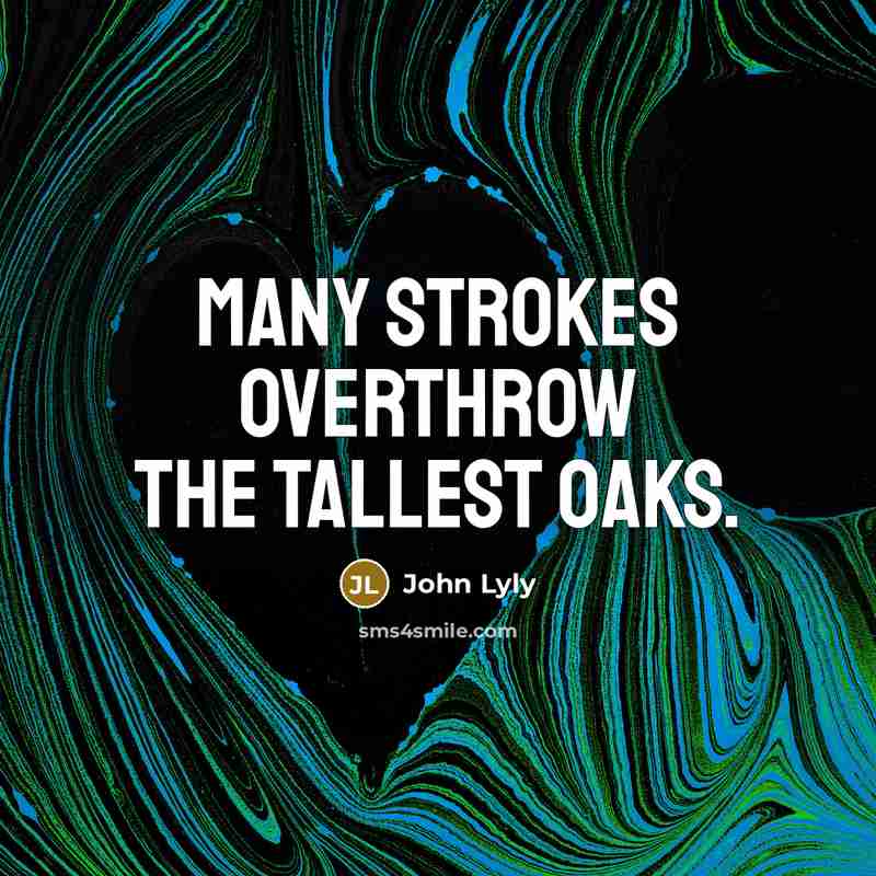 “Many strokes overthrow the tallest oaks.…” quote by John Lyly