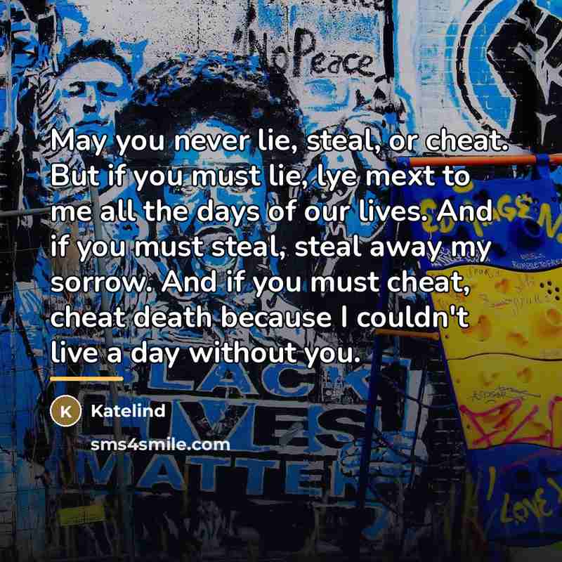 “May you never lie, steal, or cheat. But if you…” quote by Katelind