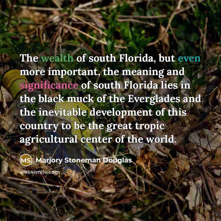 “The wealth of south Florida, but even more important, the…” quote by Marjory Stoneman Douglas