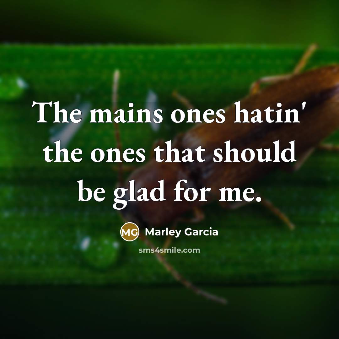 “The mains ones hatin' the ones that should be glad for me.” quote by Marley Garcia