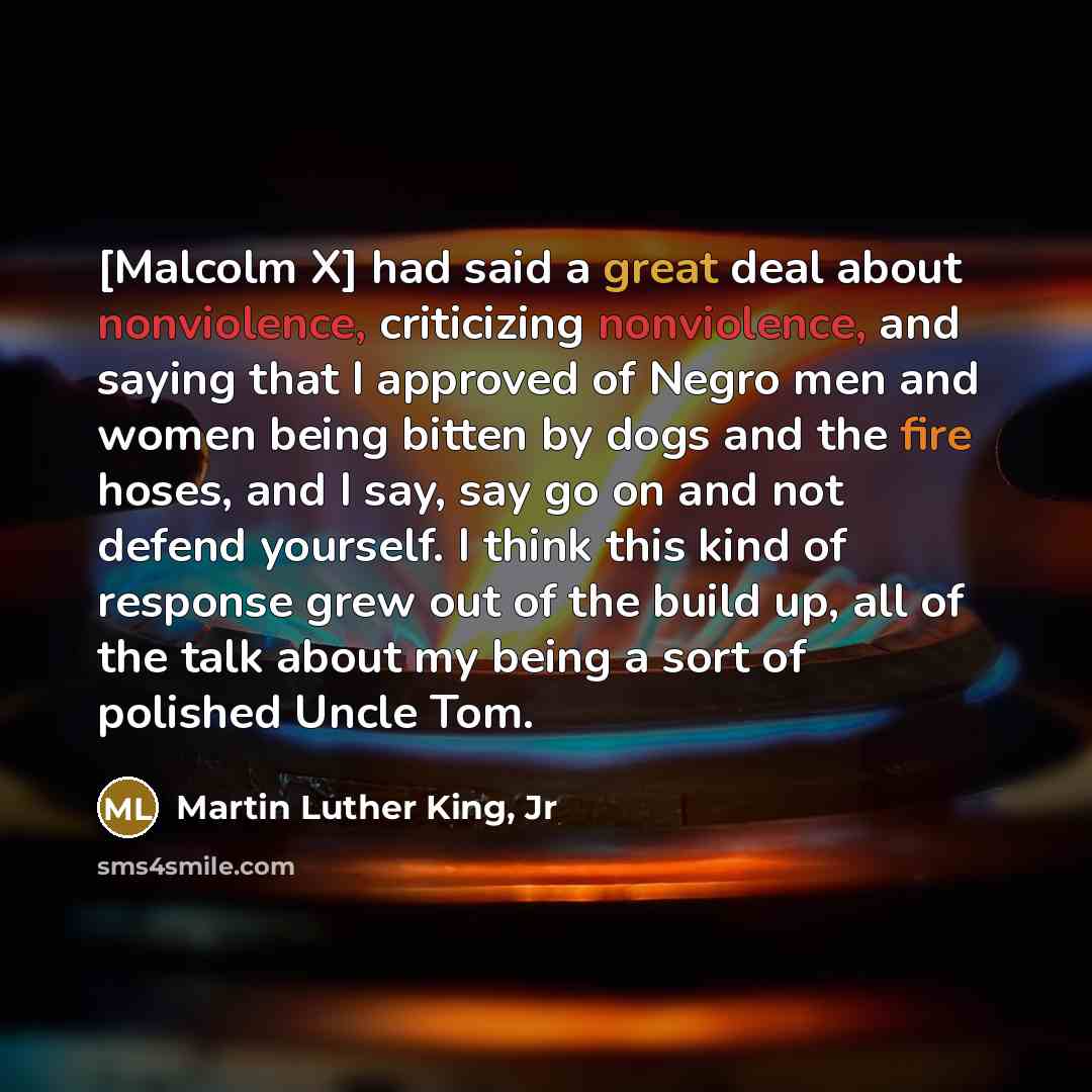 “[Malcolm X] had said a great deal about nonviolence, criticizing…” quote by Martin Luther King, Jr