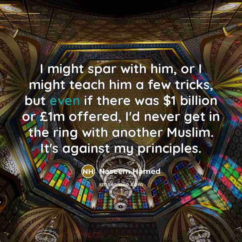 “I might spar with him, or I might teach him…” quote by Naseem Hamed