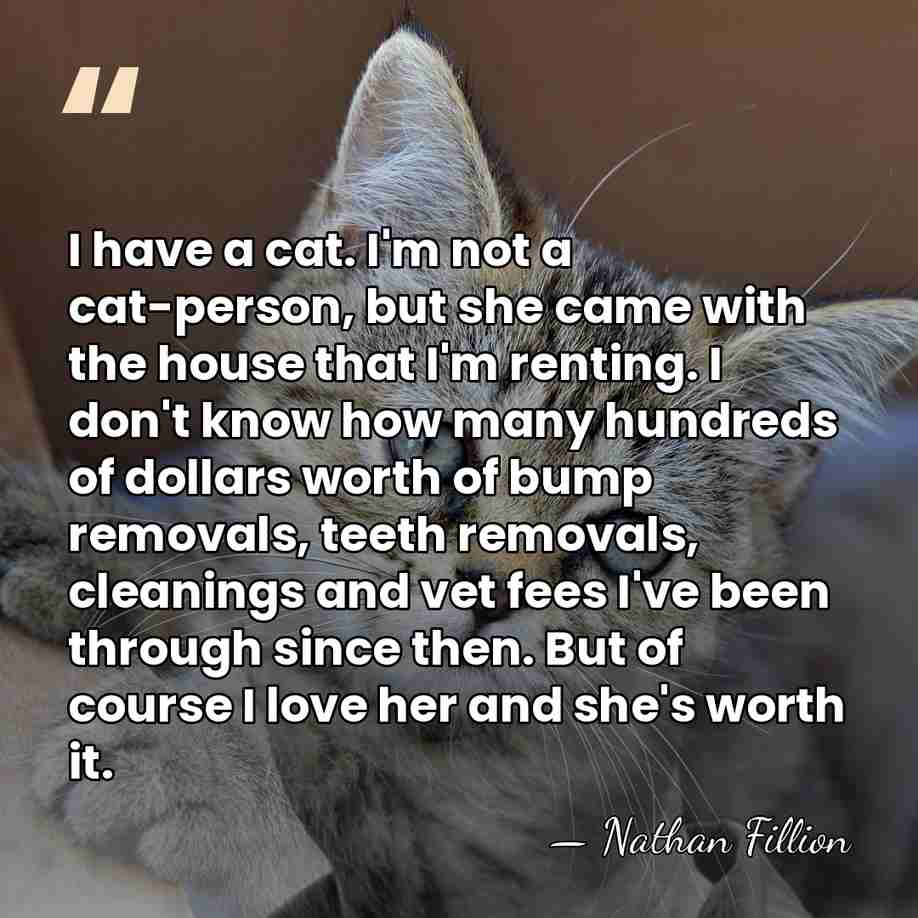 I have a cat. I'm not a cat-person, but she came with&hellip; - Nathan Fillion