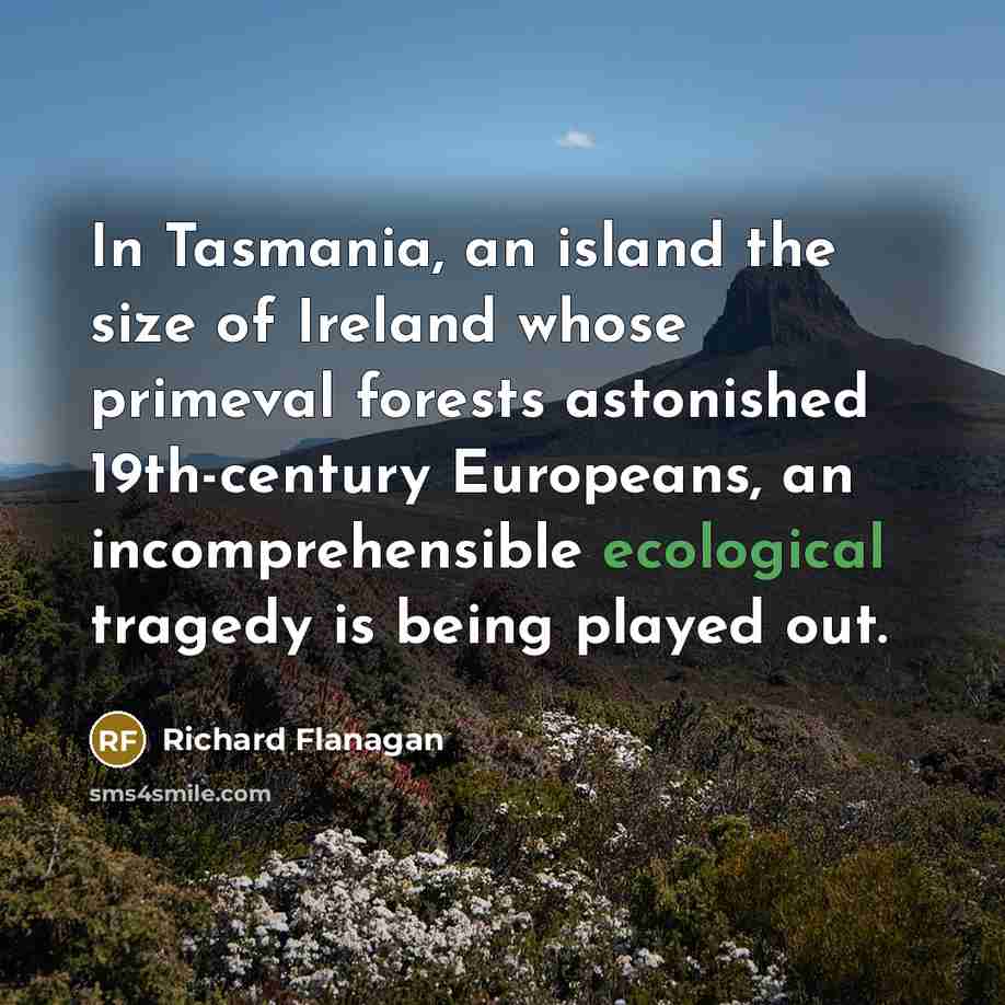 “In Tasmania, an island the size of Ireland whose primeval…” quote by Richard Flanagan