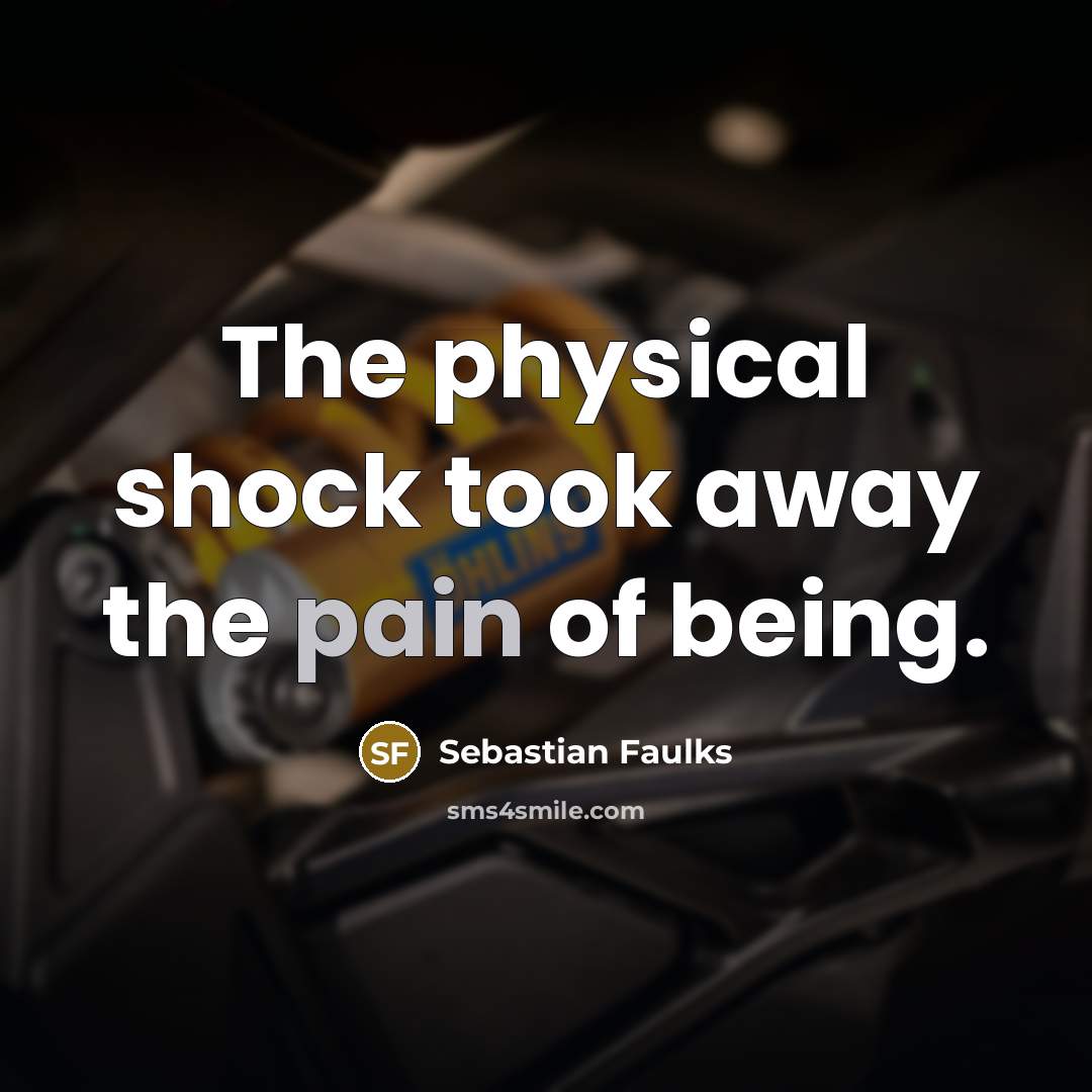 “The physical shock took away the pain of being.…” quote by Sebastian Faulks