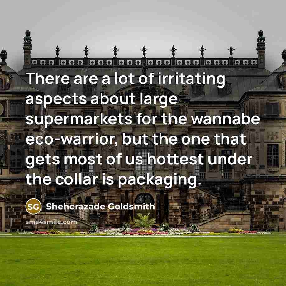 “There are a lot of irritating aspects about large supermarkets…” quote by Sheherazade Goldsmith