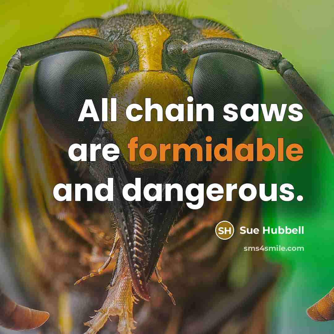 “All chain saws are formidable and dangerous.…” quote by Sue Hubbell