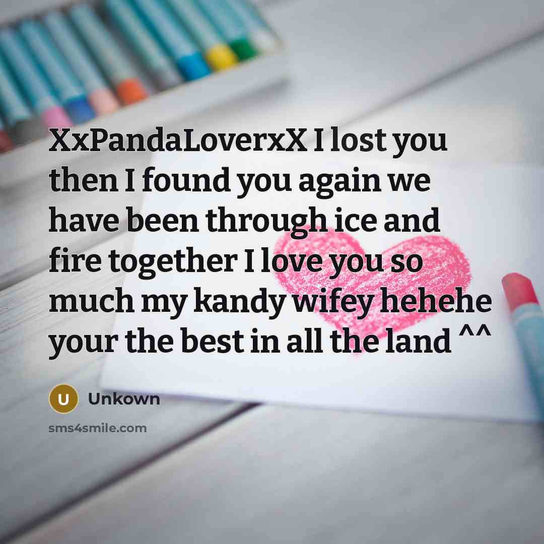 “XxPandaLoverxX I lost you then I found you again we…” quote by Unkown