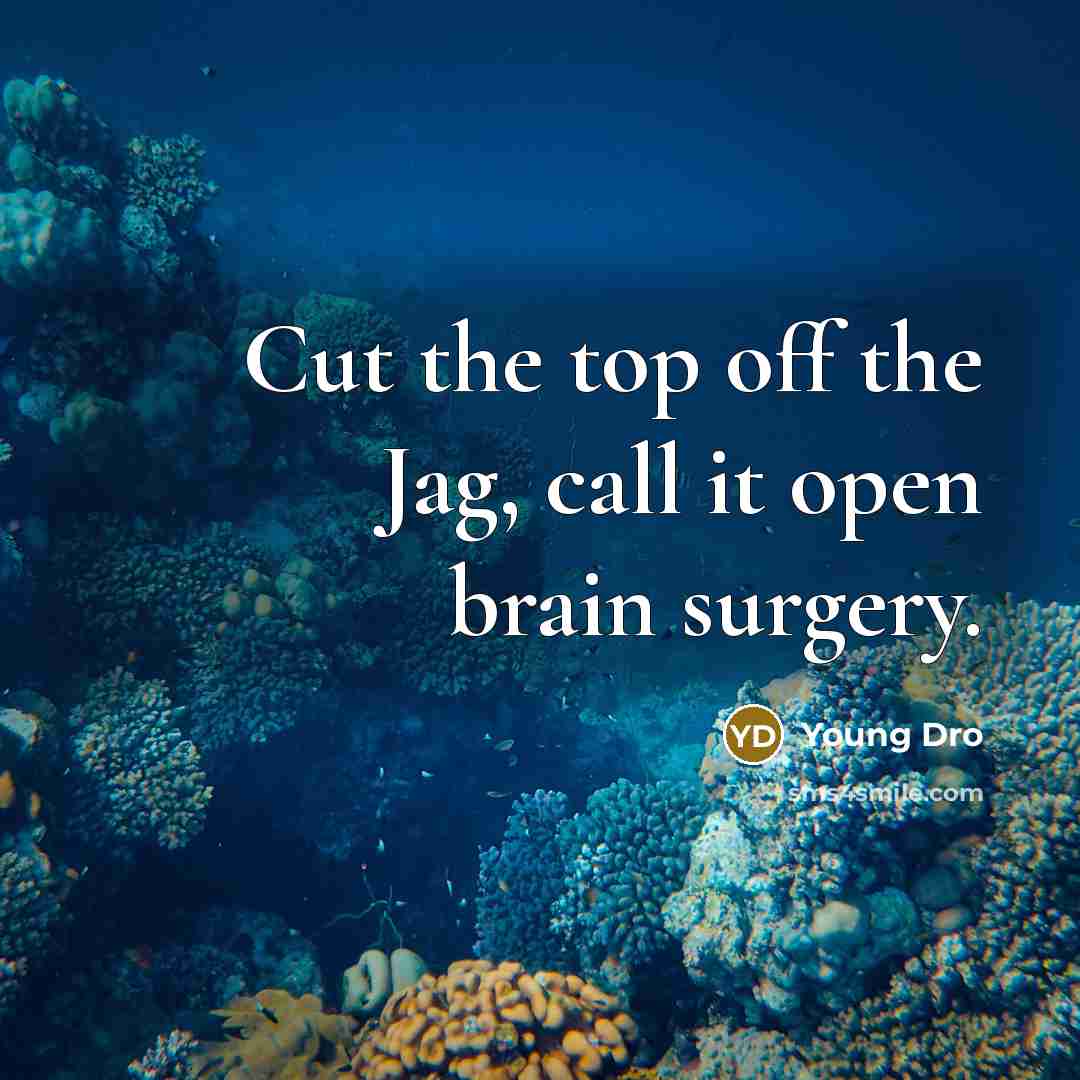 “Cut the top off the Jag, call it open brain…” quote by Young Dro