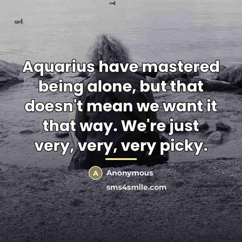 “Aquarius have mastered being alone, but that doesn't mean we…” quote by Anonymous