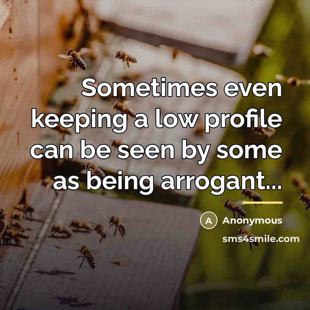 “Sometimes even keeping a low profile can be seen by…” quote by Anonymous