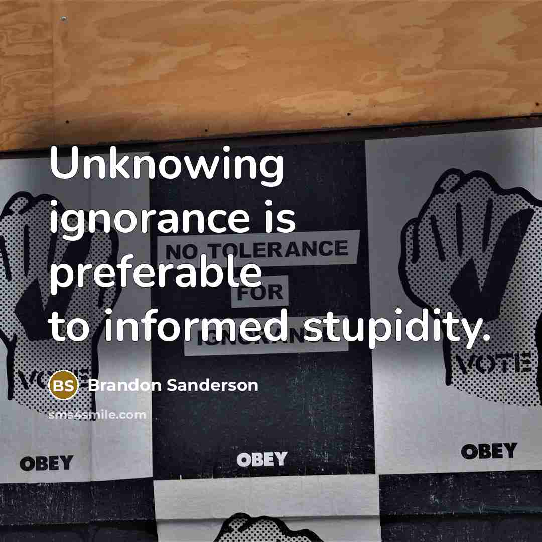 “Unknowing ignorance is preferable to informed stupidity.…” quote by Brandon Sanderson