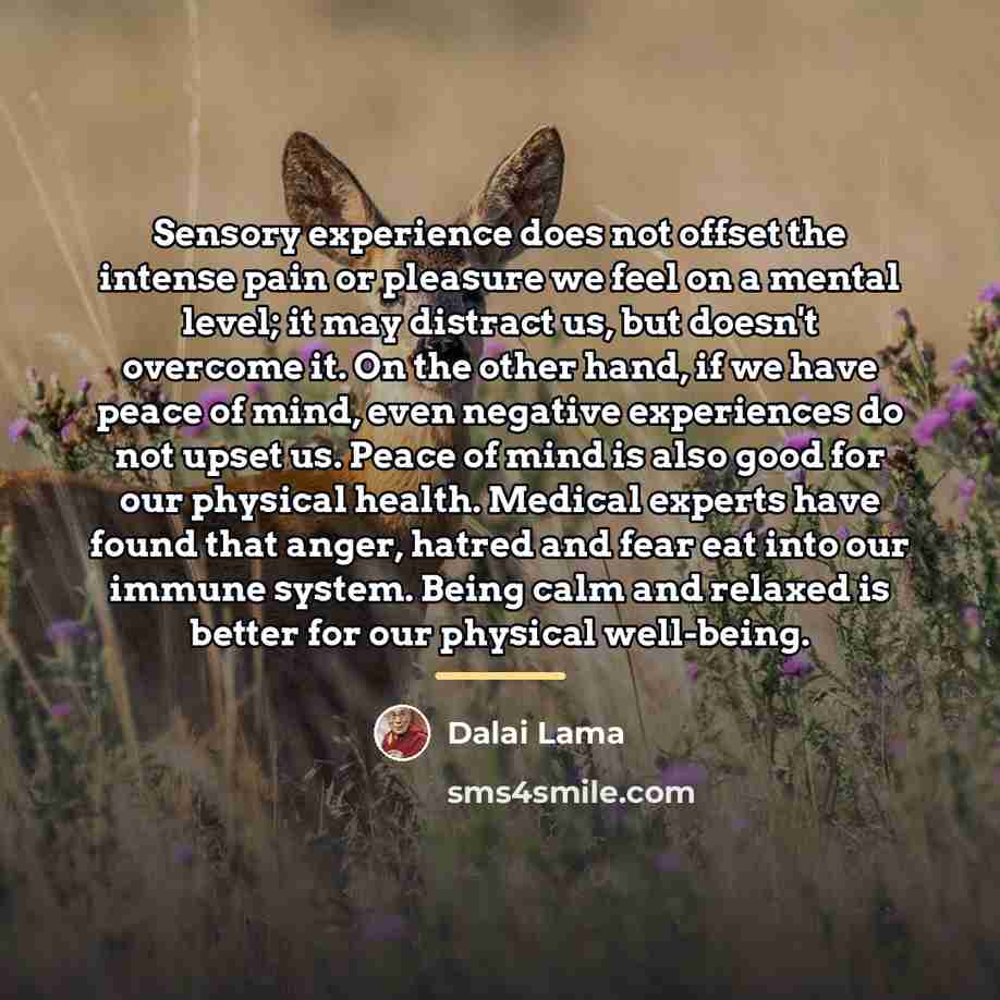 “Sensory experience does not offset the intense pain or pleasure…” quote by Dalai Lama
