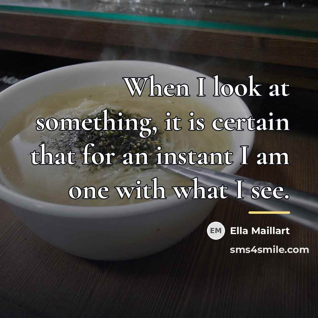 “When I look at something, it is certain that for…” quote by Ella Maillart
