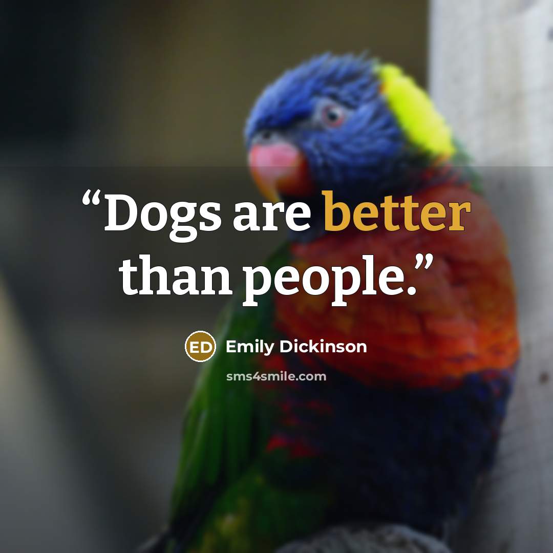 “Dogs are better than people.” quote by Emily Dickinson