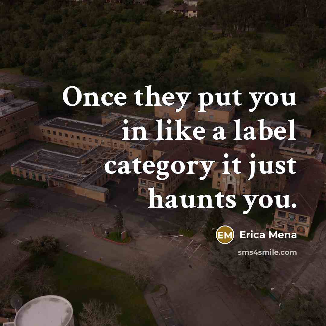 “Once they put you in like a label category it…” quote by Erica Mena
