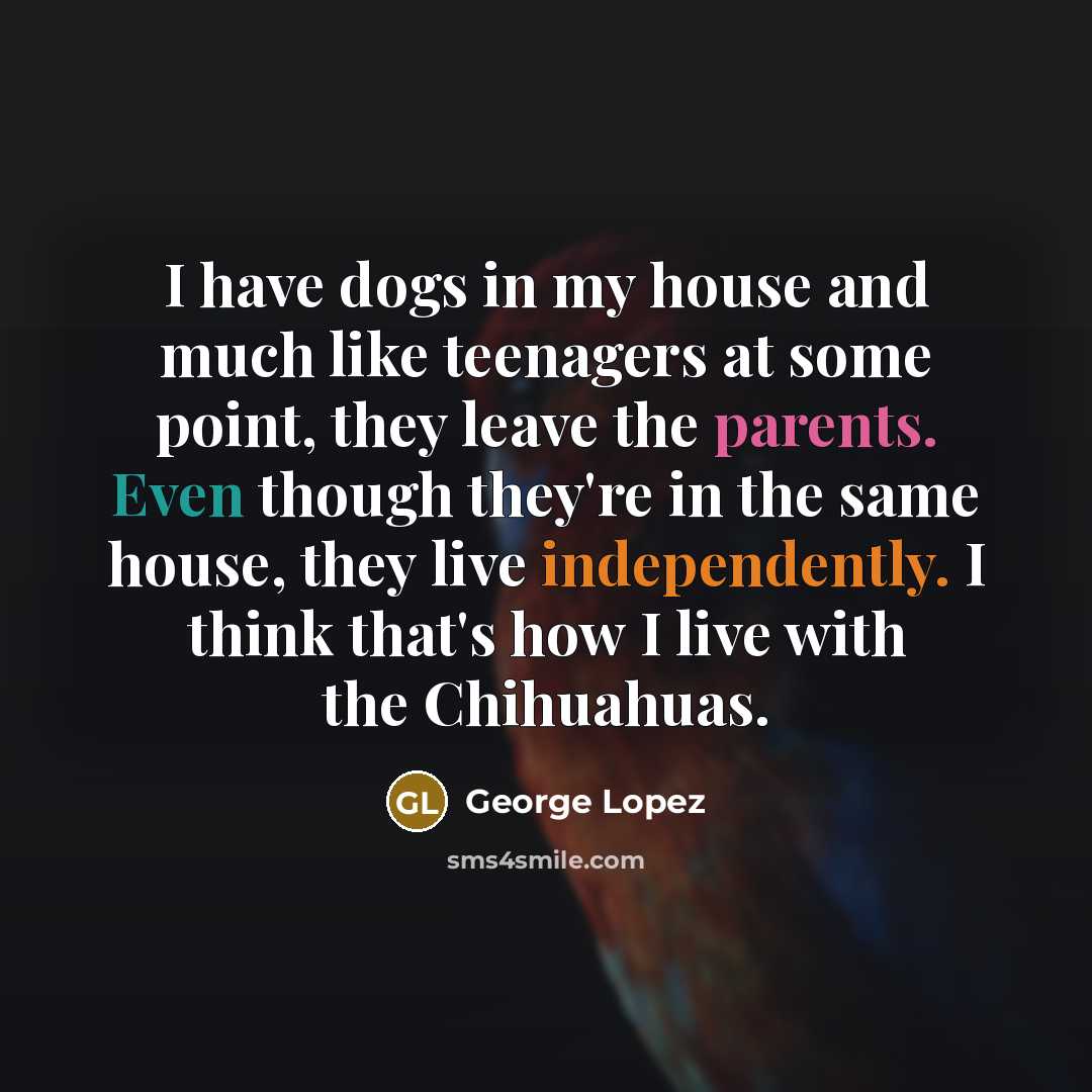 “I have dogs in my house and much like teenagers at some point, they leave the parents. Even though they're in the same house, they live independently. I think that's how I live with the Chihuahuas.” quote by George Lopez