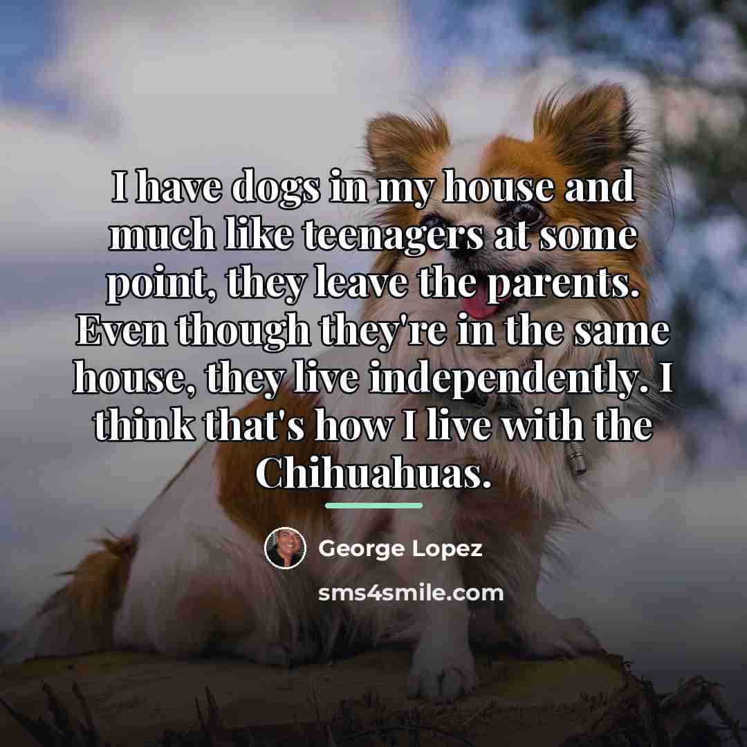 “I have dogs in my house and much like teenagers…” quote by George Lopez
