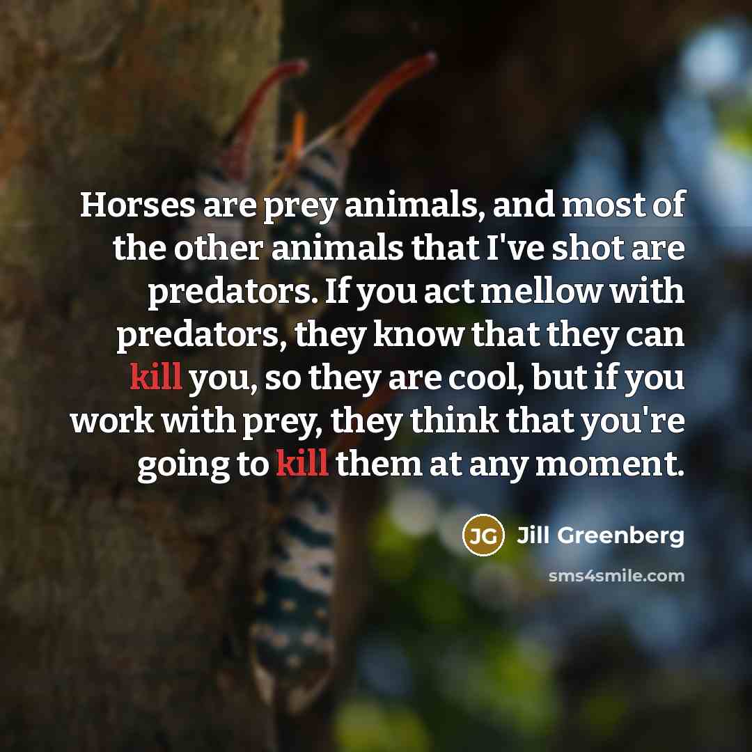 “Horses are prey animals, and most of the other animals…” quote by Jill Greenberg