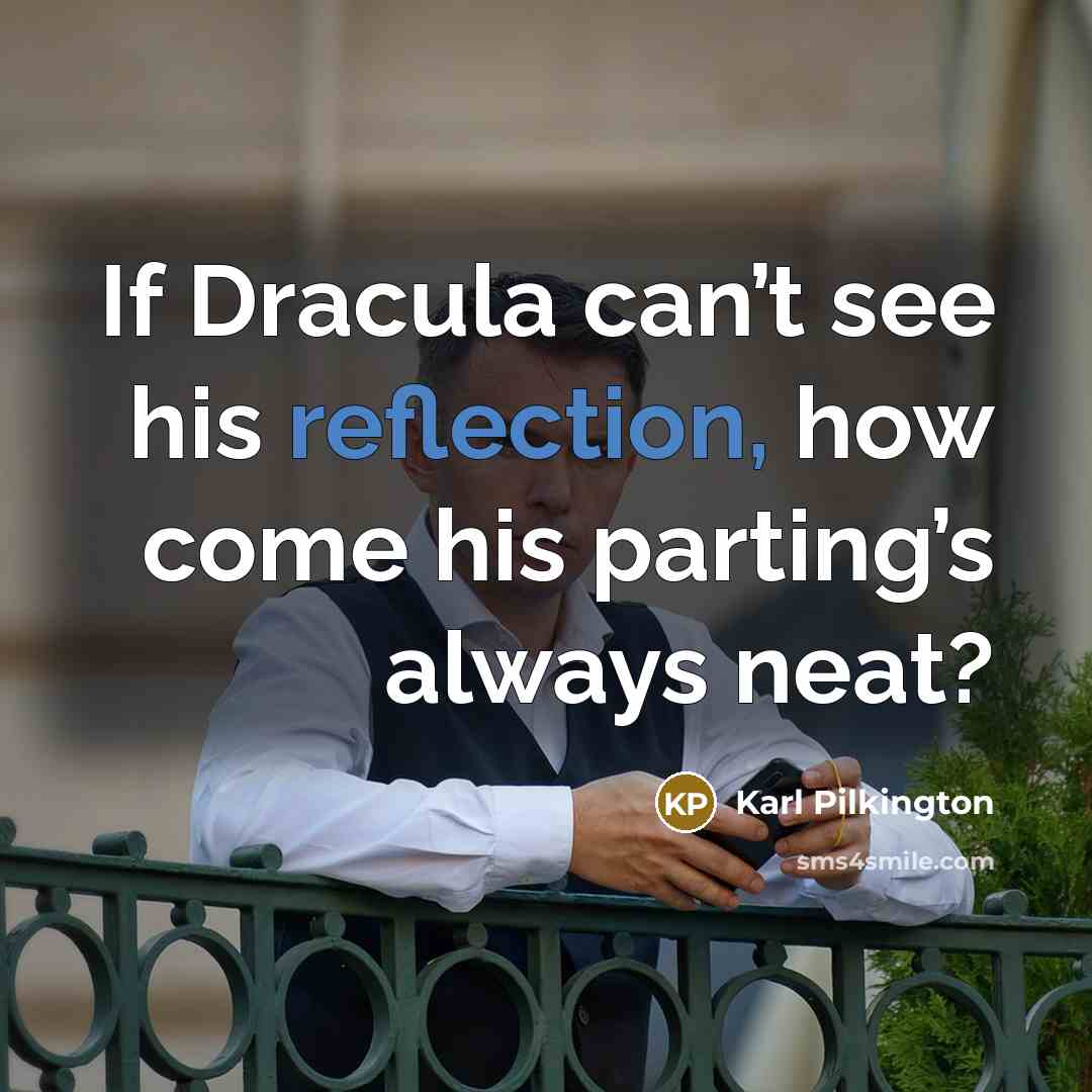 “If Dracula can’t see his reflection, how come his parting’s…” quote by Karl Pilkington