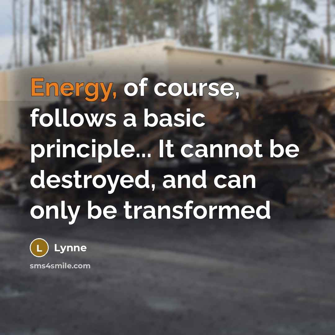 “Energy, of course, follows a basic principle... It cannot be destroyed, and can only be transformed” quote by Lynne