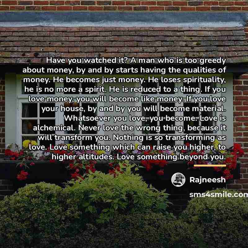 “Have you watched it? A man who is too greedy…” quote by Rajneesh