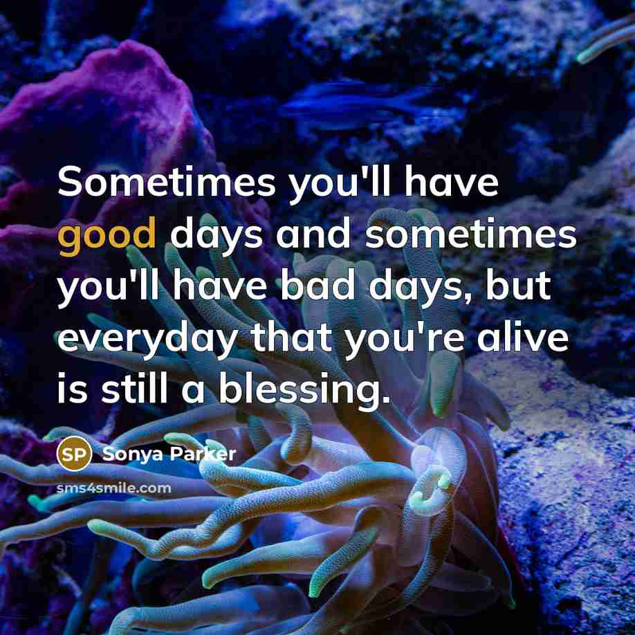 “Sometimes you'll have good days and sometimes you'll have bad…” quote by SONYA PARKER