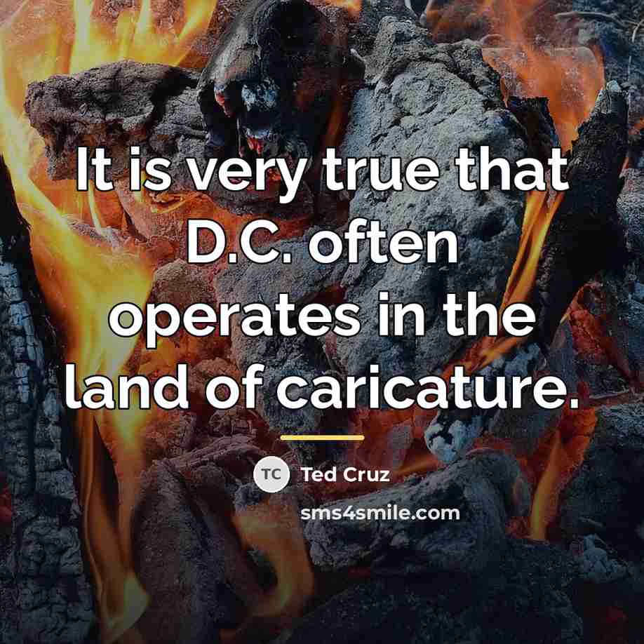 “It is very true that D.C. often operates in the…” quote by Ted Cruz