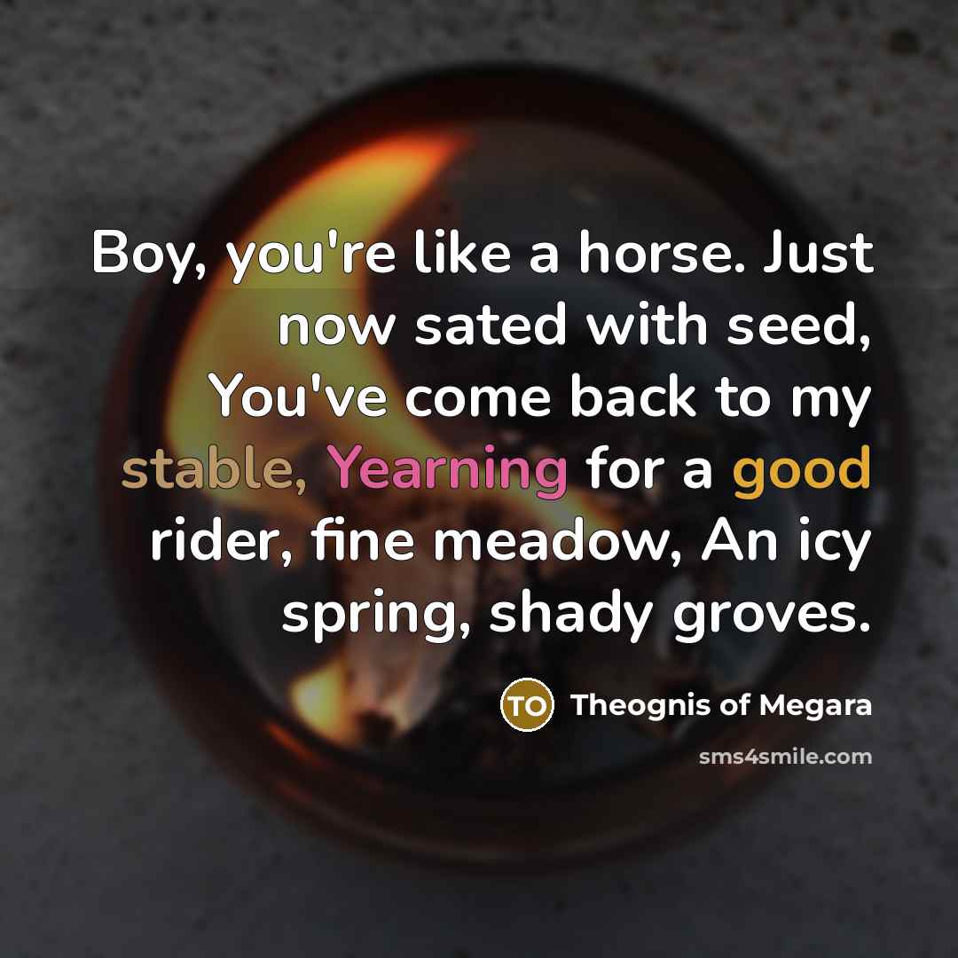 “Boy, you're like a horse. Just now sated with seed,…” quote by Theognis of Megara